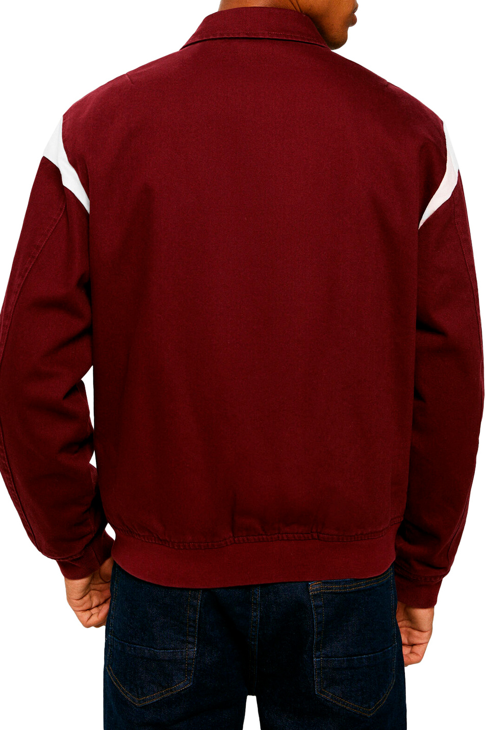 Мужской Springfield Куртка из натурального хлопка (цвет ), артикул 2837263 | Фото 4
