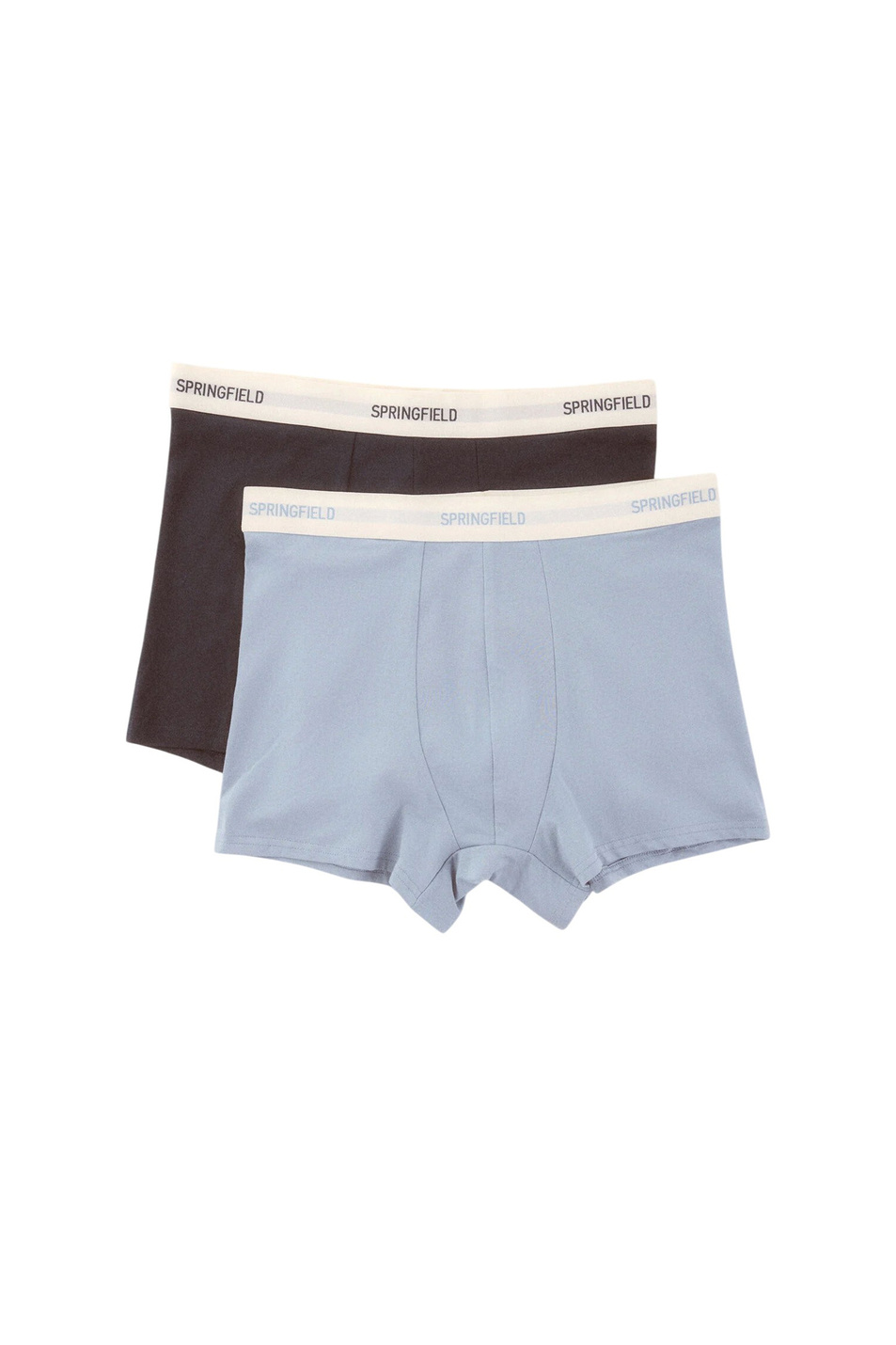 Мужской Springfield Трусы в комплекте из 2 шт (цвет ), артикул 1253361 | Фото 1