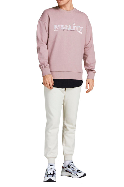 Jack & Jones Свитшот с принтом ( цвет), артикул 12205413 | Фото 2
