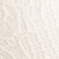 Women'secret Бюстгальтер пуш-ап из текстурной ткани с кружевом (цвет ), артикул 4027493 | Фото 2