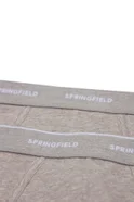 Мужской Springfield Набор трусов из эластичного хлопка (цвет ), артикул 1255822 | Фото 2