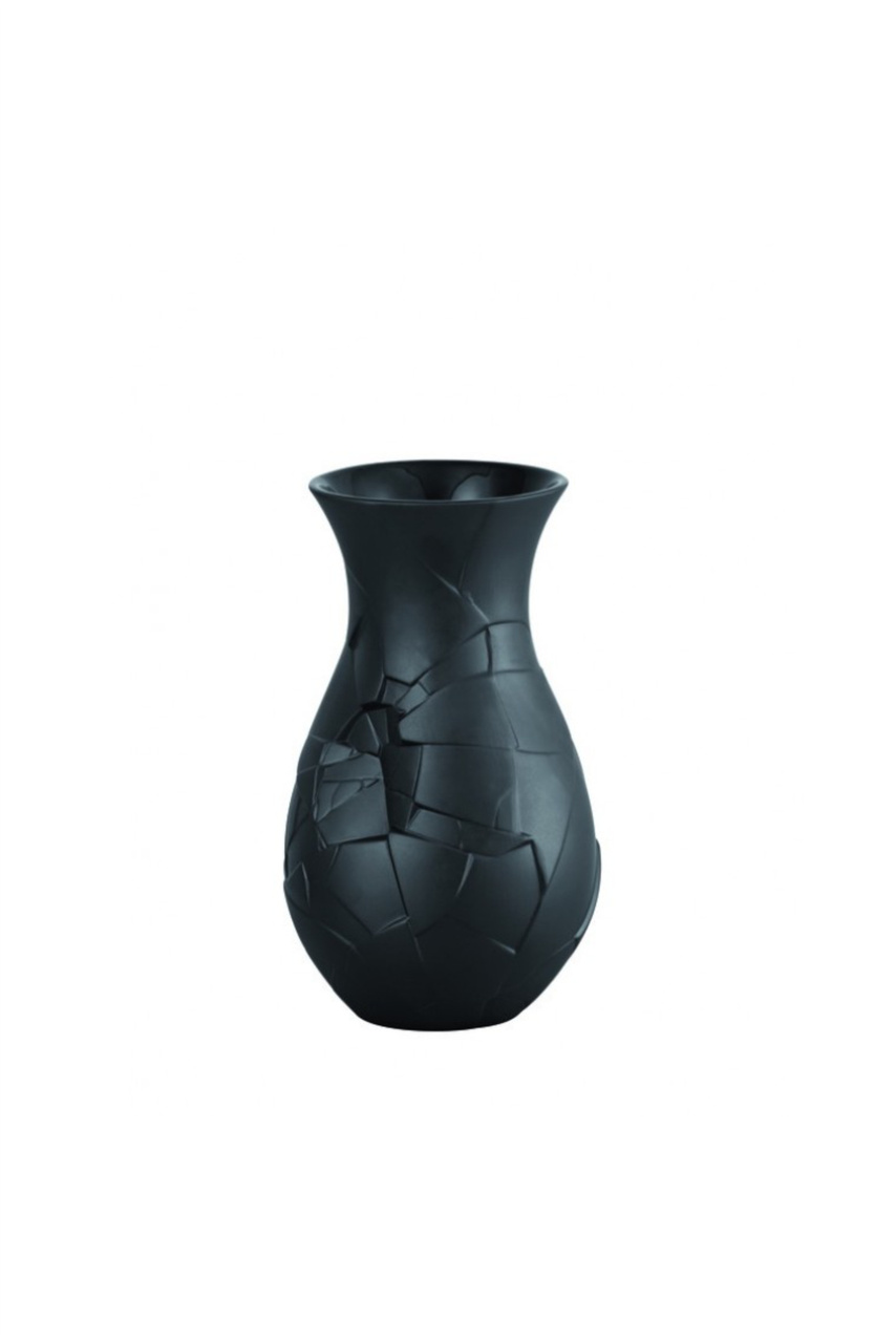Ваза Vase of Phases, 21 см|Основной цвет:Черный|Артикул:14255-105000-26021 | Фото 1