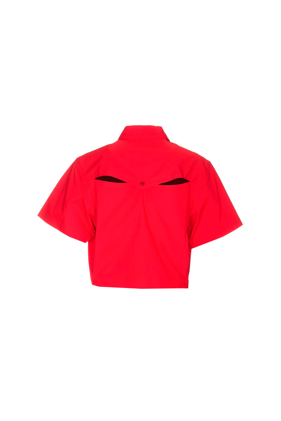 Женский Pinko Рубашка CASTALLIA из натурального хлопка (цвет ), артикул 103118A19U | Фото 2
