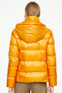 Comma Куртка утепленная ( цвет), артикул 8T.008.51.2234 | Фото 4