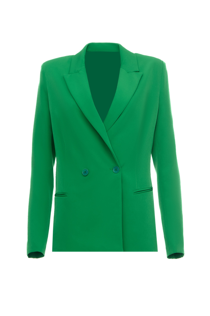 Пиджак свободного кроя|Основной цвет:Зеленый|Артикул:WA3433T7896 | Фото 1