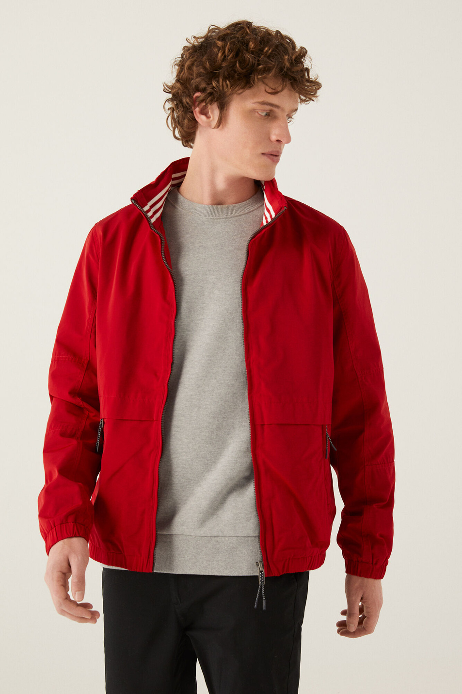 Springfield Куртка мужская (цвет ), артикул 0959022 | Фото 3
