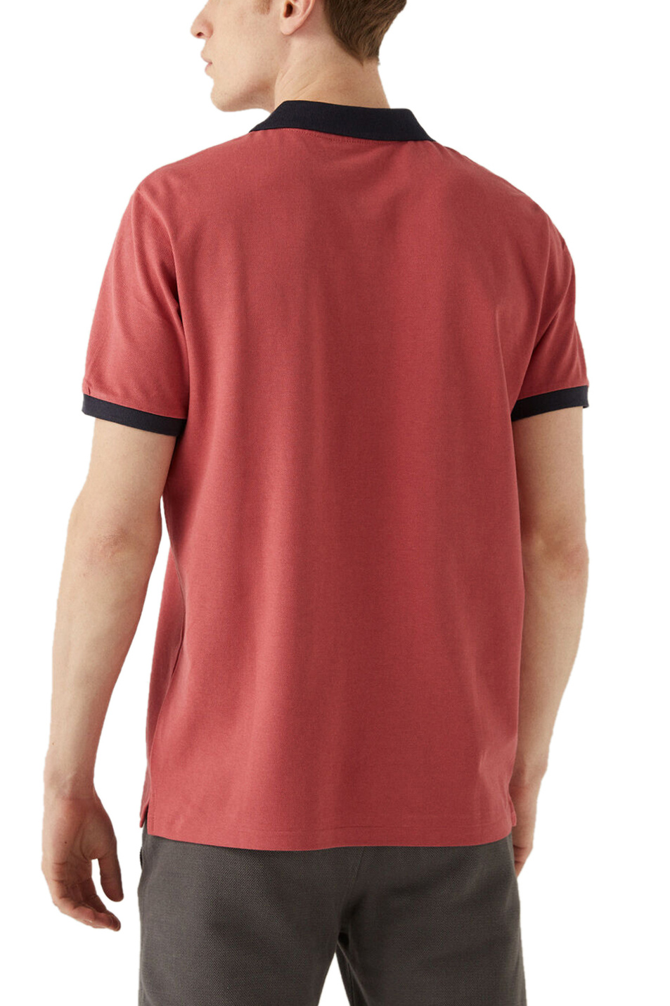 Springfield Рубашка поло (цвет ), артикул 1439936 | Фото 3