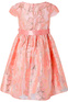 Monsoon Платье CHELSEA ( цвет), артикул 915047 | Фото 2