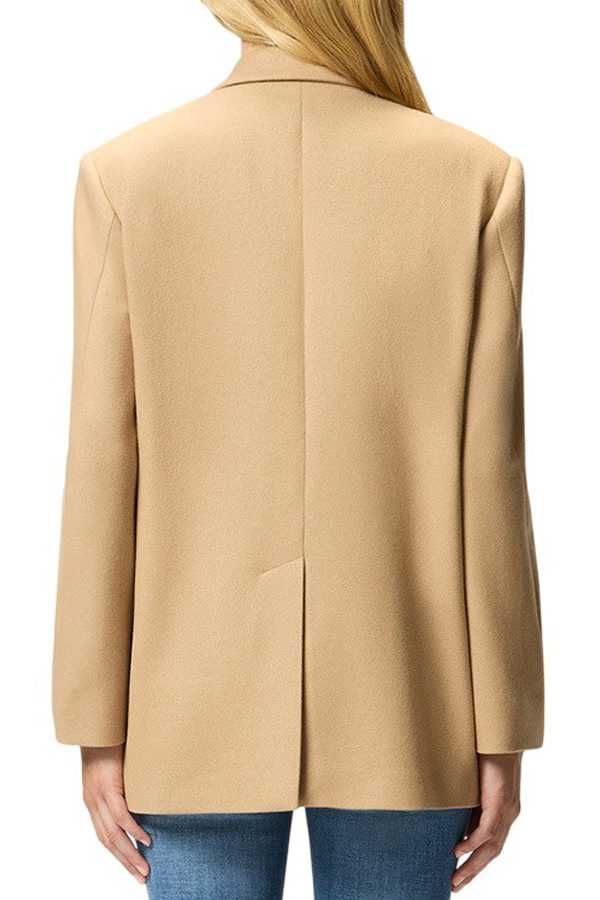 Женский Pinko Пиджак AMORA двубортный (цвет ), артикул 106099A2ZU | Фото 4