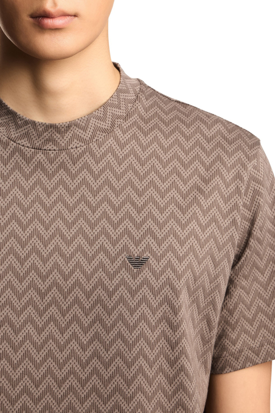 Мужской Emporio Armani Футболка из натурального хлопка с принтом (цвет ), артикул EM005546-AF25181 | Фото 6