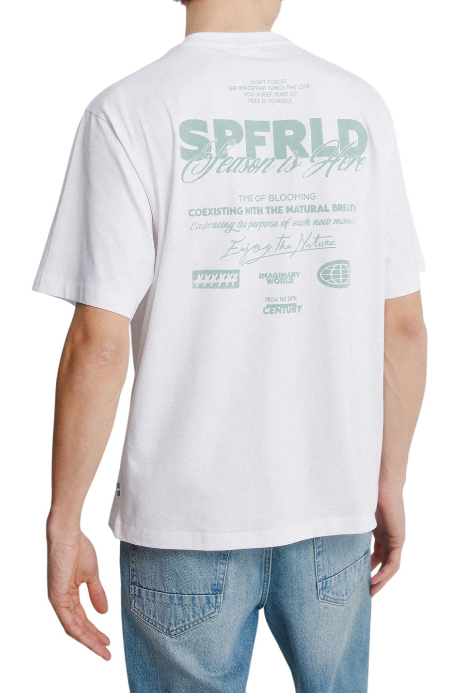 Мужской Springfield Футболка из хлопка (цвет ), артикул 0243381 | Фото 3