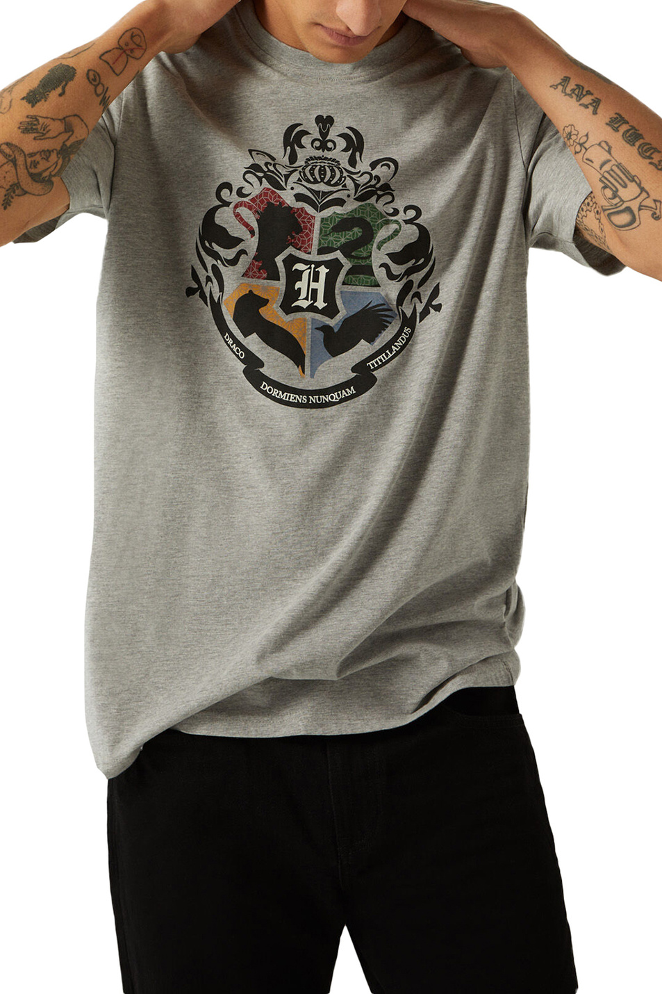 Springfield Футболка с коротким рукавом и принтом "Гарри Поттер" (цвет ), артикул 1452555 | Фото 1