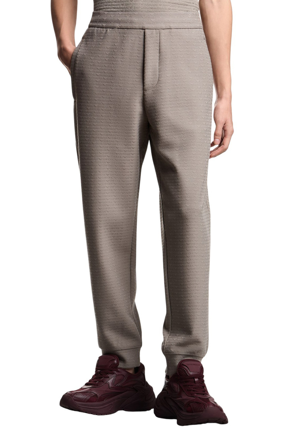 Мужской Emporio Armani Брюки-джоггеры с логотипом (цвет ), артикул EM004535-AF13700 | Фото 3