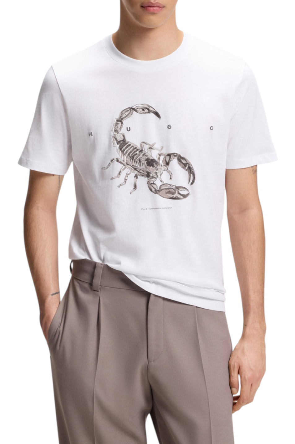 Мужской HUGO Футболка Discorb из хлопка (цвет ), артикул 50557672 | Фото 3