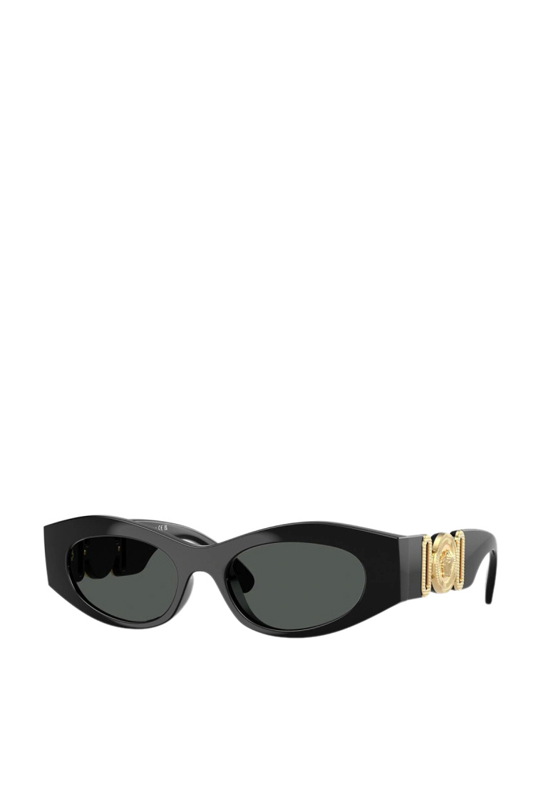 Женский Versace Солнцезащитные очки 0VE4480U (цвет ), артикул 0VE4480U | Фото 1