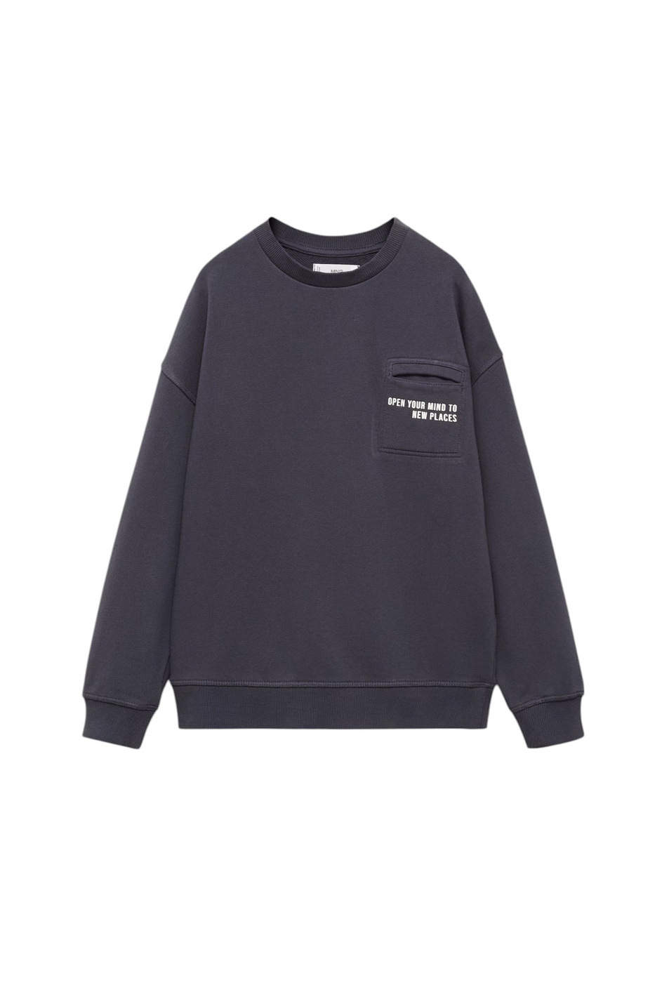 Мальчикам Mango Kids Свитшот FESTIVAL из хлопка (цвет ), артикул 87083276 | Фото 1
