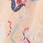 Women'secret Ночная рубашка миди с принтом ( цвет), артикул 4927621 | Фото 2