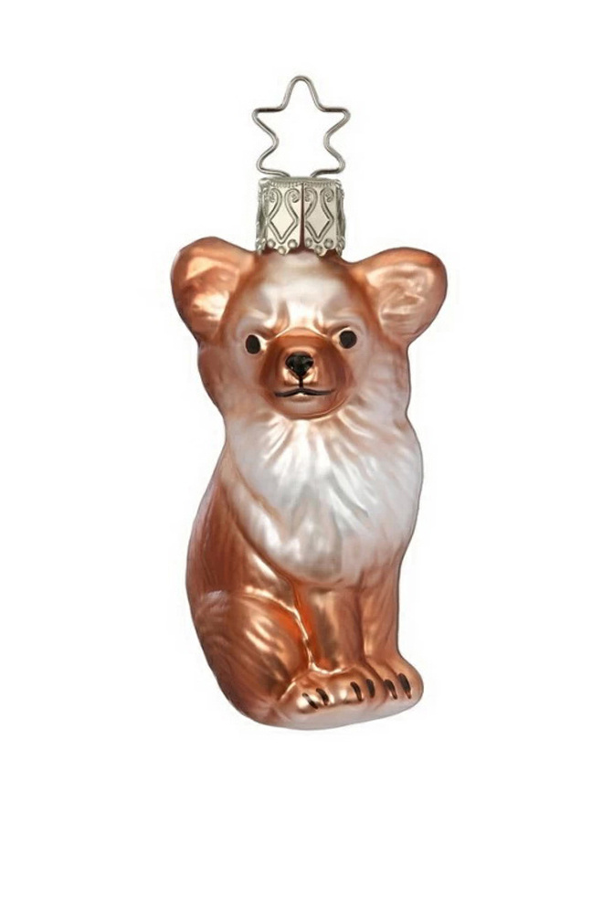 Елочная игрушка "Чихуахуа (собака)", 8 см|Основной цвет:Коричневый Не имеет пола Inge's Christmas Елочная игрушка "Чихуахуа (собака)", 8 см (цвет ), артикул 10118S024 | Фото 1