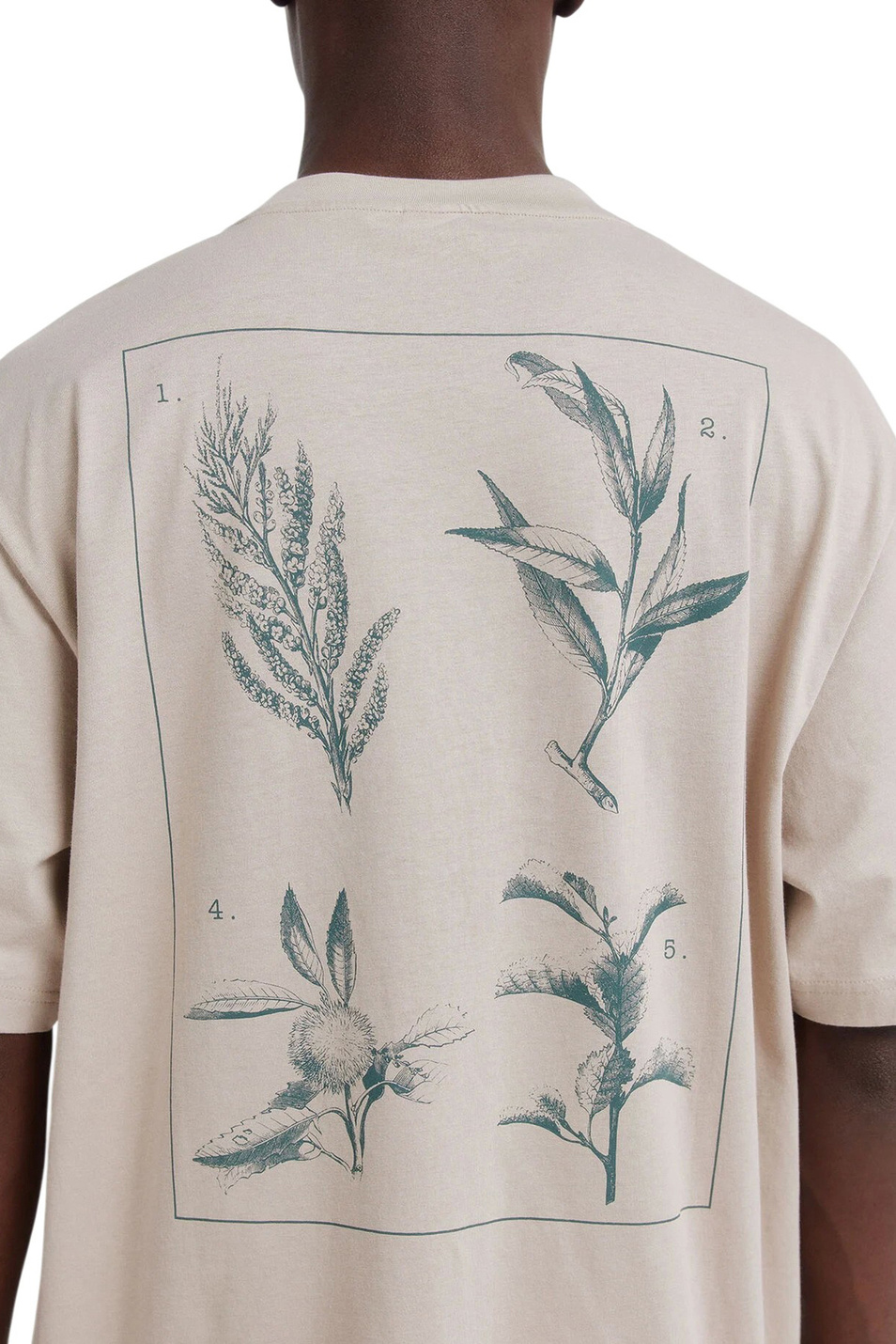 Мужской Springfield Футболка с принтом (цвет ), артикул 0263453 | Фото 4