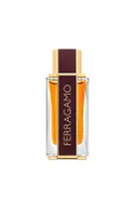 Не имеет пола Salvatore Ferragamo Духи FERRAGAMO SPICY LEATHER, 100 мл (цвет ), артикул 21206 | Фото 1