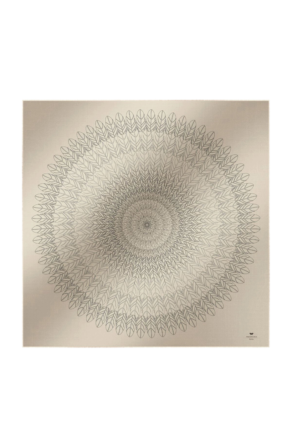 Женский Weekend Max Mara Платок EDUCATA из шерсти и шелка (цвет ), артикул 2615541134 | Фото 1