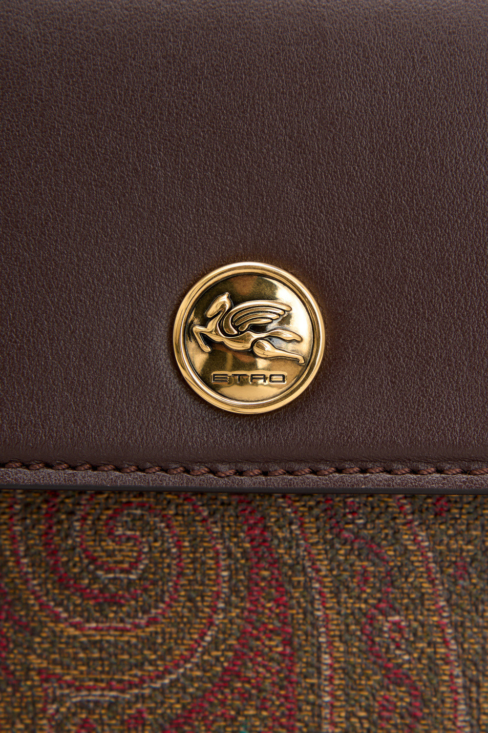 Женский Etro Сумка с принтом (цвет ), артикул WP1C0010AA014M0019 | Фото 4