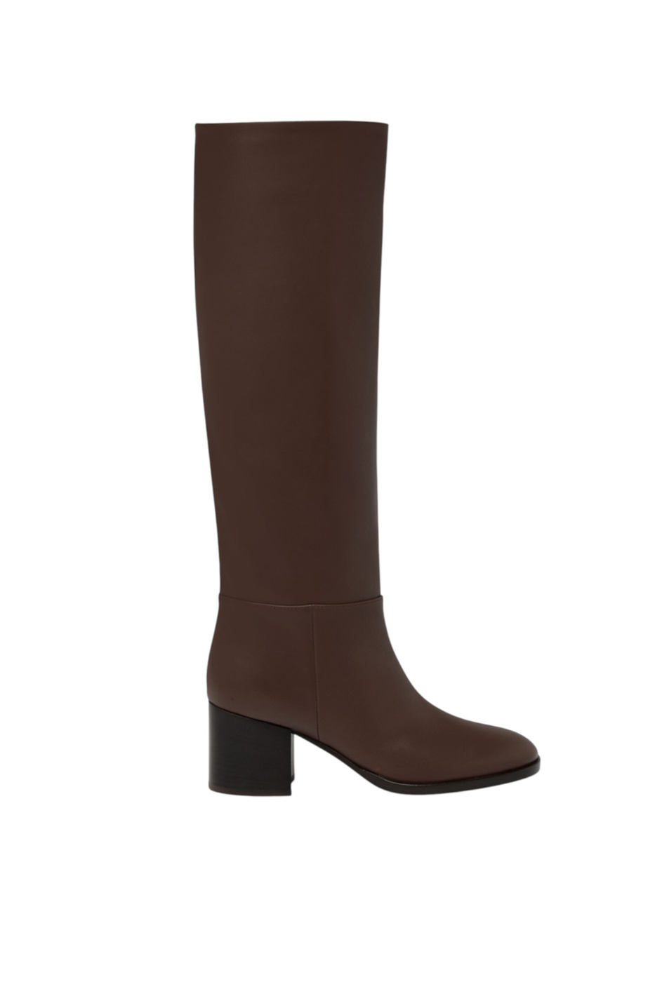 Женский Gianvito Rossi Сапоги SANTIAGO из натуральной кожи (цвет ), артикул G80304.60CUO.VGIBROW | Фото 1
