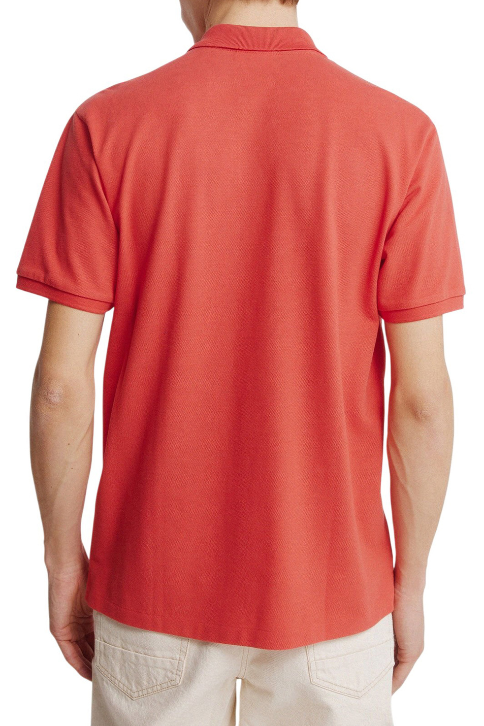 Мужской Springfield Поло из хлопка (цвет ), артикул 8551105 | Фото 3