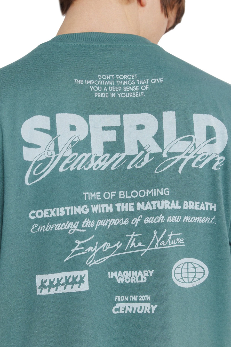 Мужской Springfield Футболка из хлопка (цвет ), артикул 0243381 | Фото 4