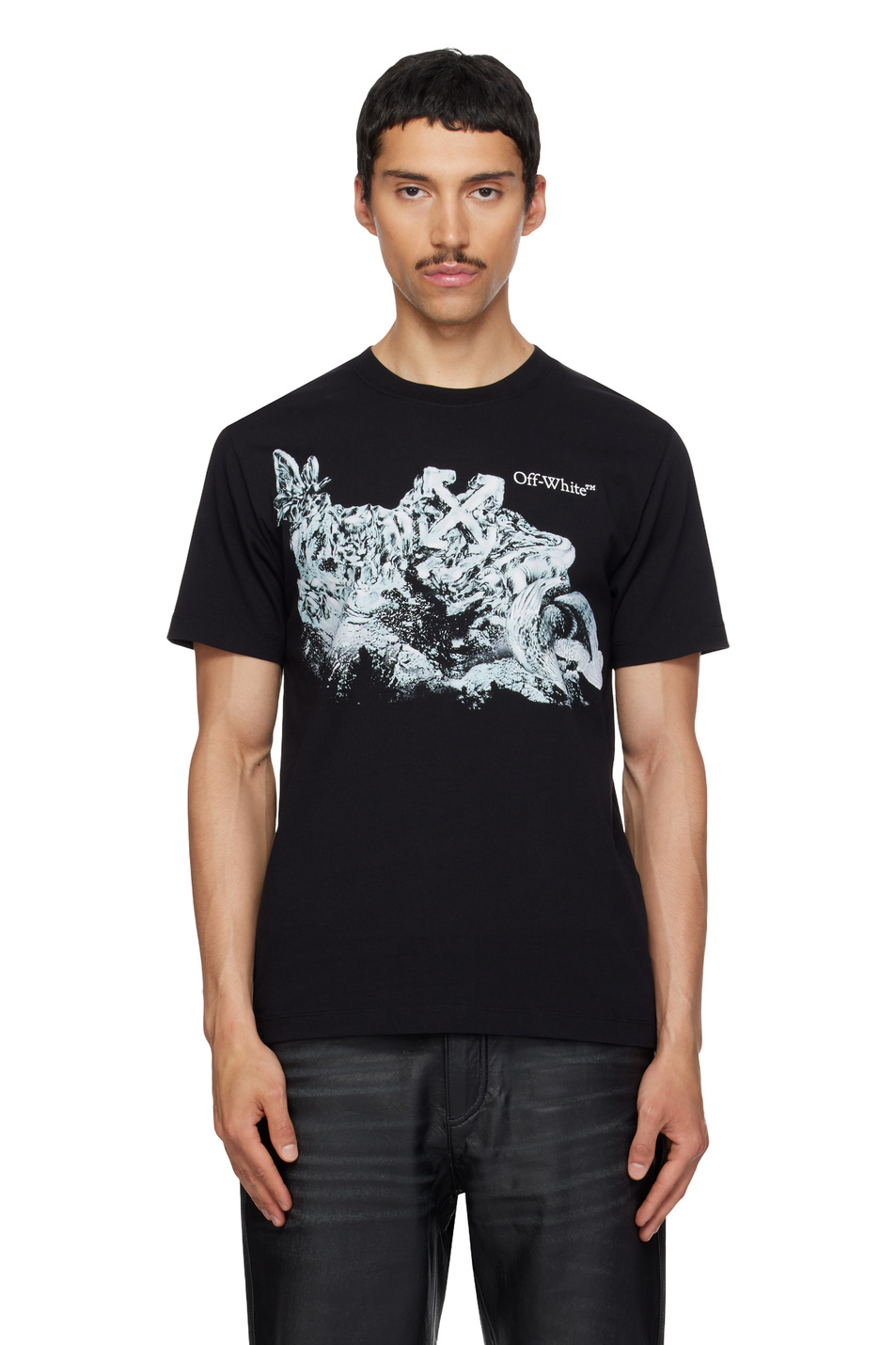 Мужской Off-White Футболка EAGLE ROCK с принтом (цвет ), артикул OMAA027S26JER0060001 | Фото 4