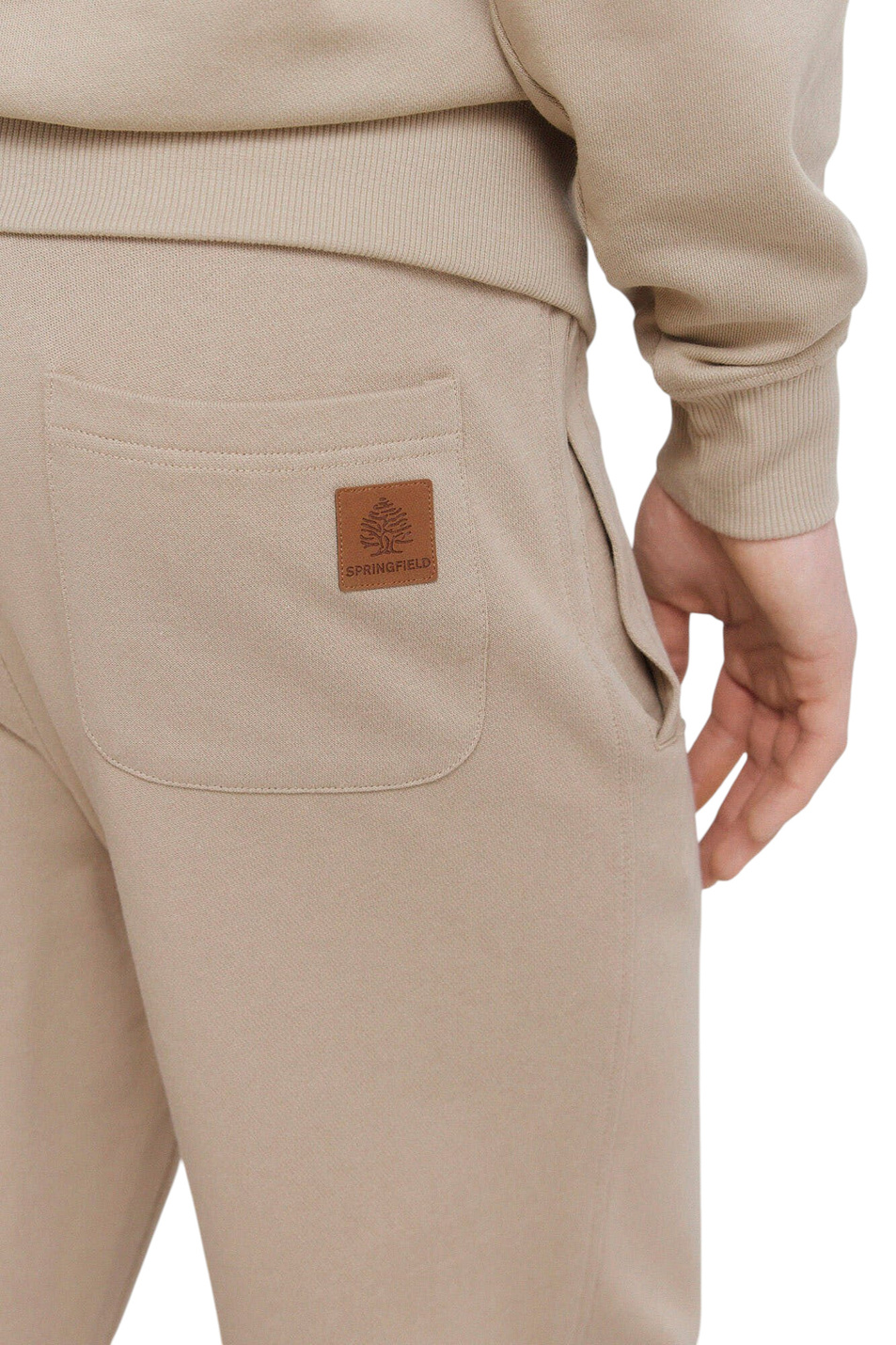Мужской Springfield Джоггеры из хлопка (цвет ), артикул 0093184 | Фото 5