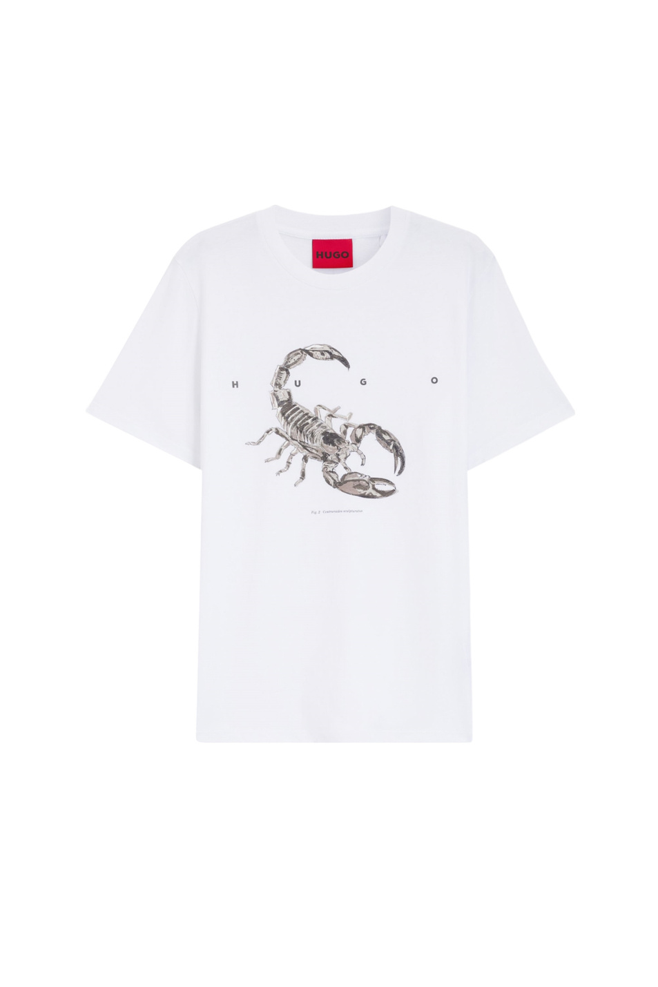 Мужской HUGO Футболка Discorb из хлопка (цвет ), артикул 50557672 | Фото 1
