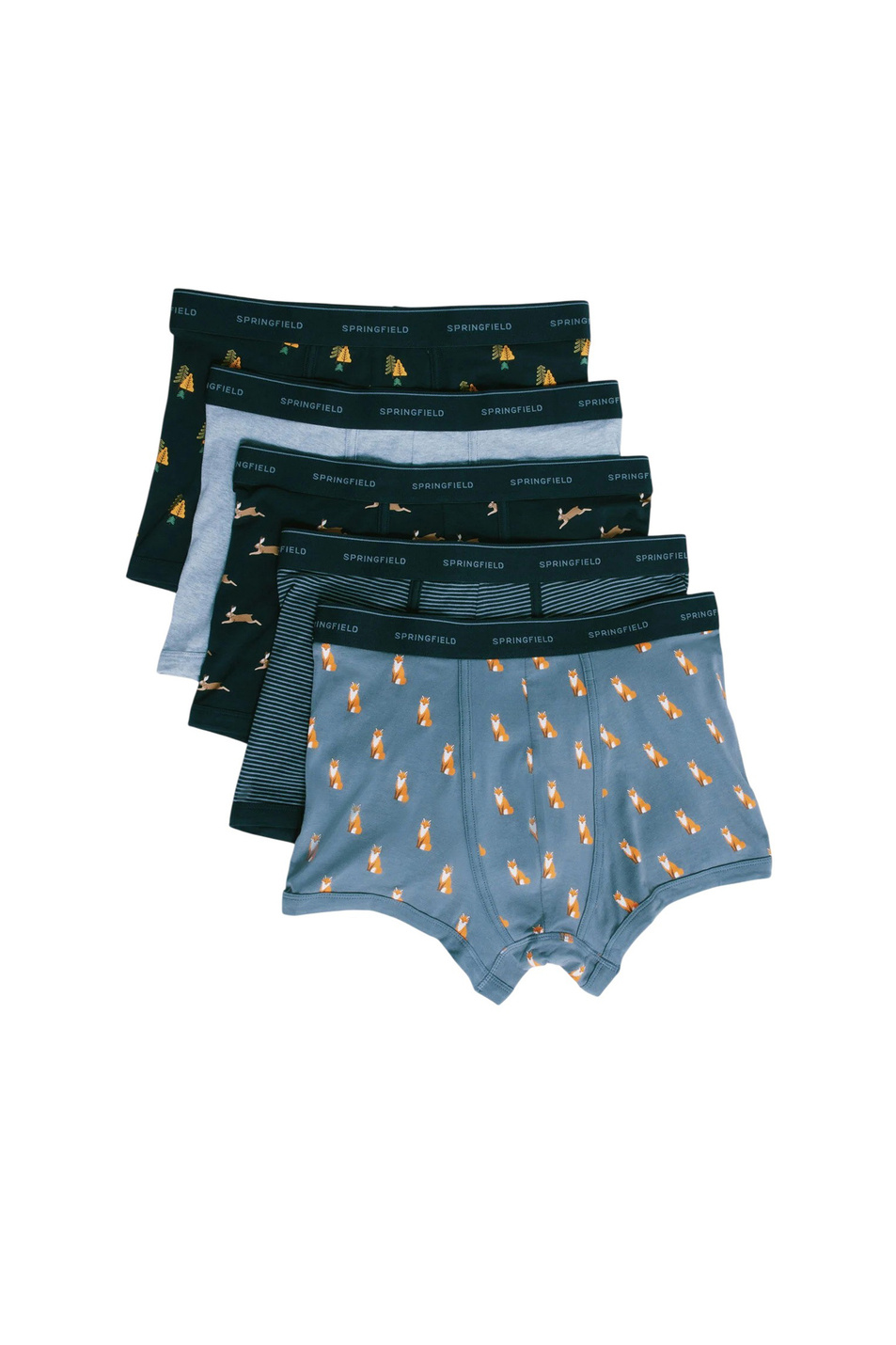 Мужской Springfield Трусы в наборе из 5 шт (цвет ), артикул 1252192 | Фото 1