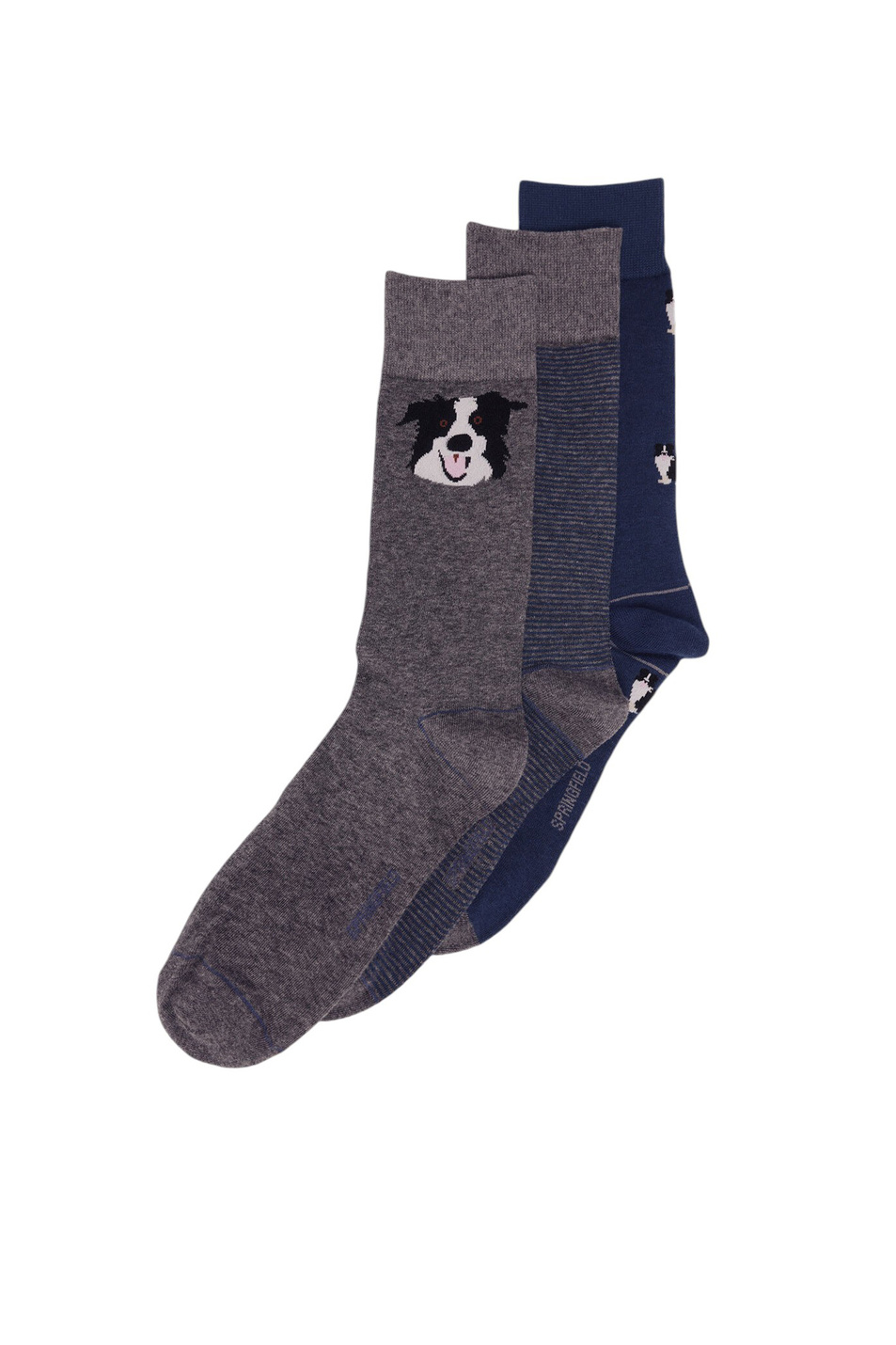 Мужской Springfield Носки в комплекте из 3 пар (цвет ), артикул 0652096 | Фото 1