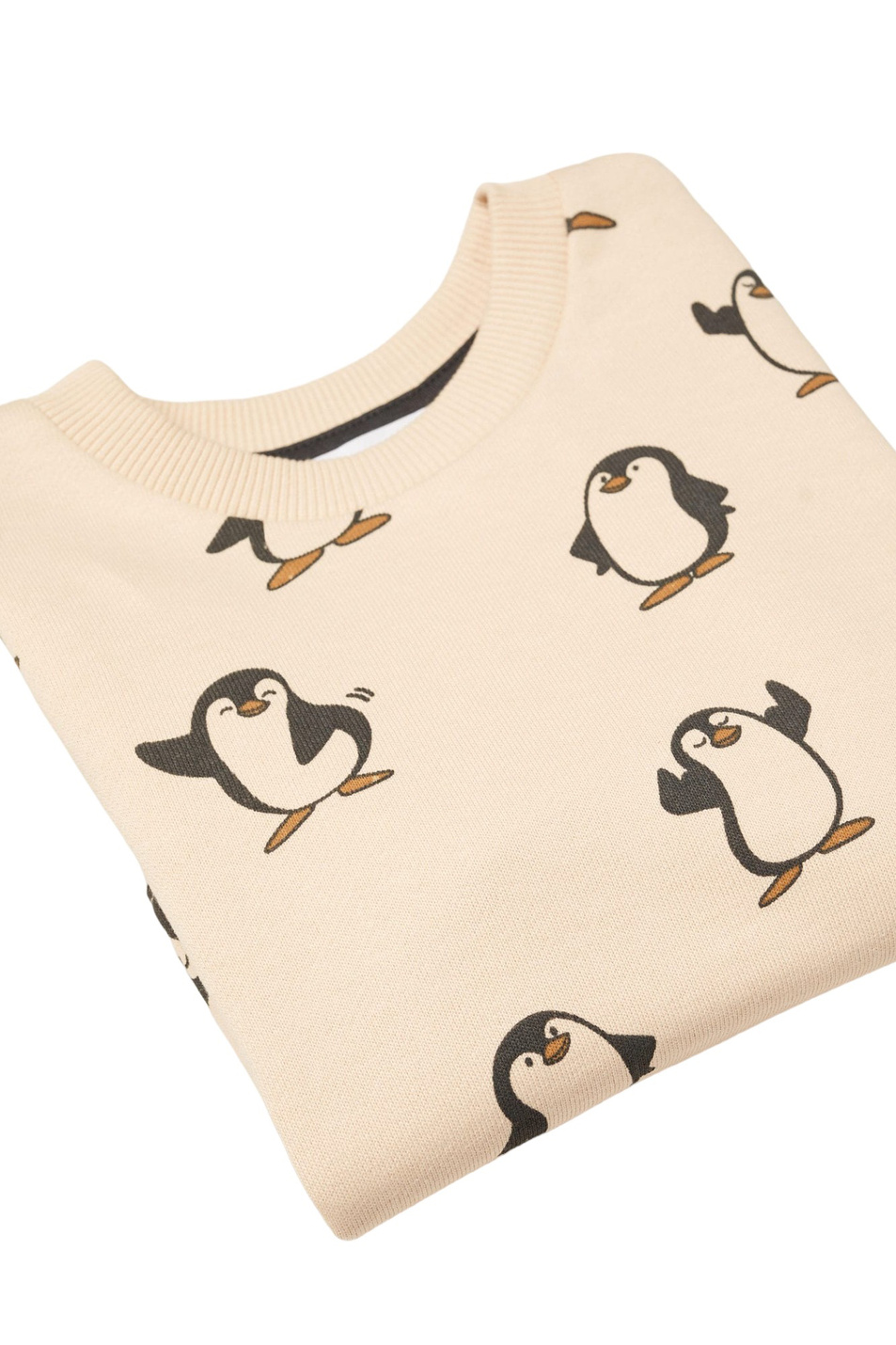 Мальчикам Mango Kids Свитшот POLAR с принтом (цвет ), артикул 57075973 | Фото 5