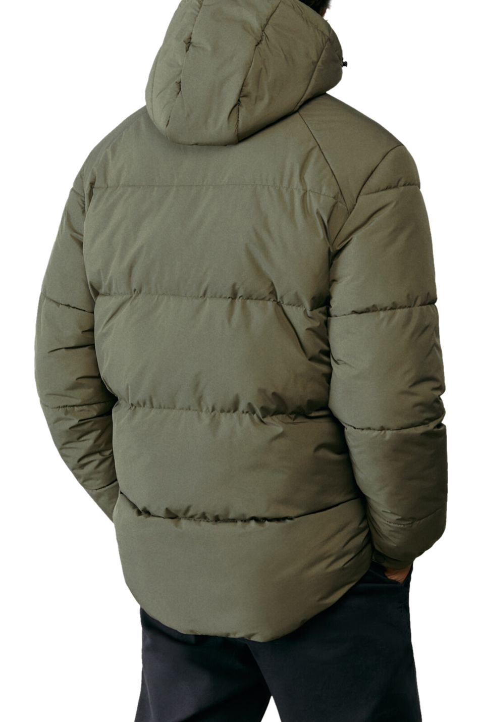 Springfield Утепленная куртка с карманами (цвет ), артикул 0952067 | Фото 2
