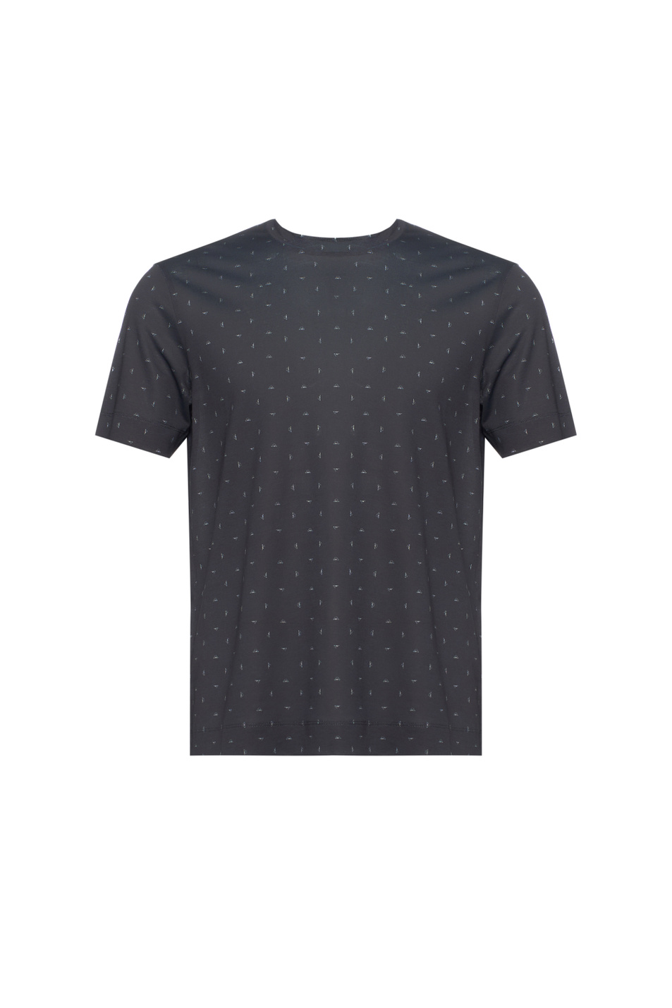 Мужской Emporio Armani Футболка с принтом (цвет ), артикул EM005270-AF24857 | Фото 1