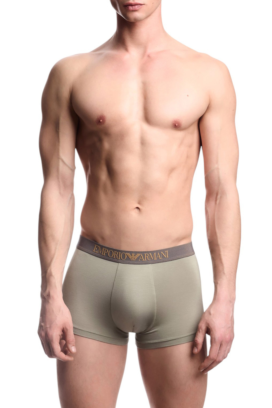 Мужской Emporio Armani Трусы в комплекте из 2 шт (цвет ), артикул EM000253-AF10787 | Фото 2