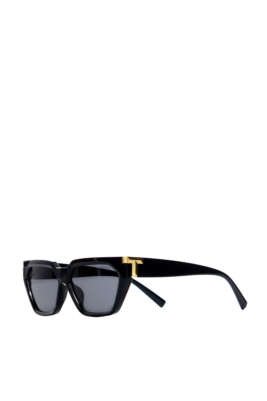 Солнцезащитные очки 0TF4205U|Основной цвет:Черный|Артикул:0TF4205U | Фото 1