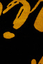 Moschino Полотенце из натурального хлопка с принтом ( цвет), артикул A7403-5949 | Фото 2