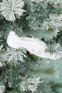Gisela Graham Елочная игрушка на клипсе "Птица серебряная" 14 см ( цвет), артикул 16504 | Фото 2