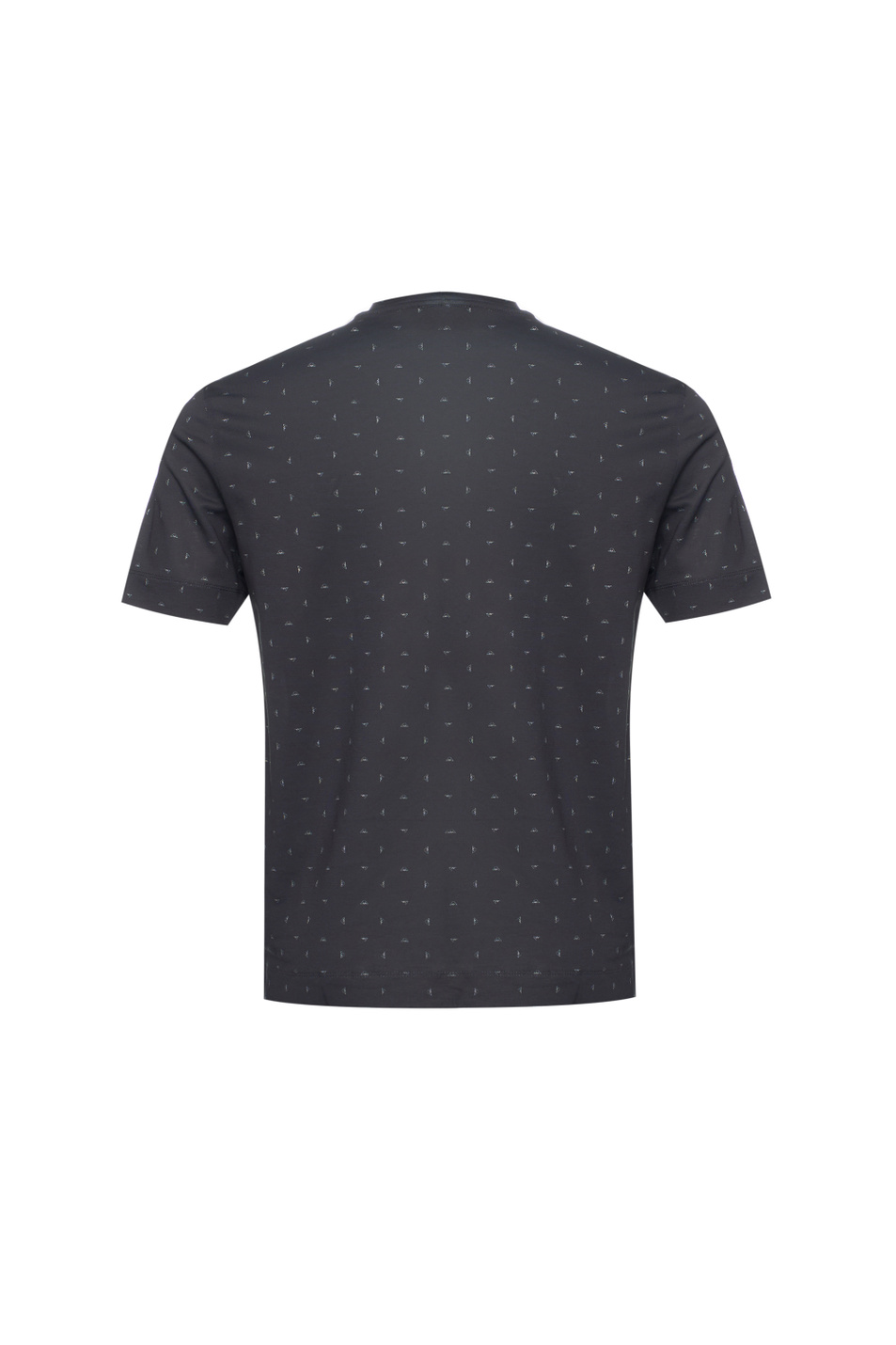 Мужской Emporio Armani Футболка с принтом (цвет ), артикул EM005270-AF24857 | Фото 2