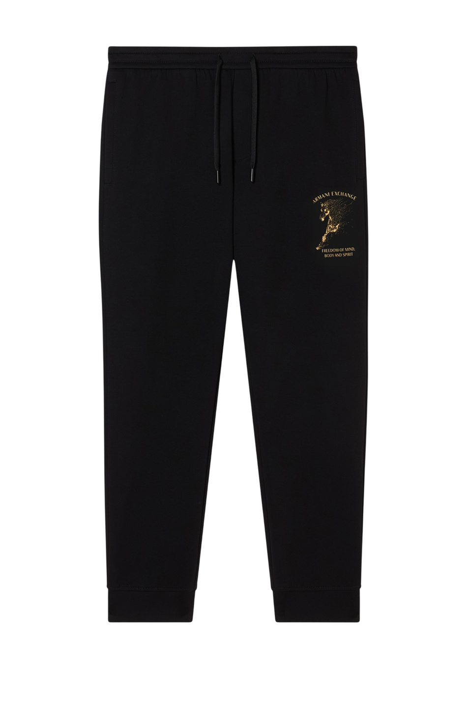 Мужской Armani Exchange Брюки с принтом (цвет ), артикул XM001997-AF10818 | Фото 1