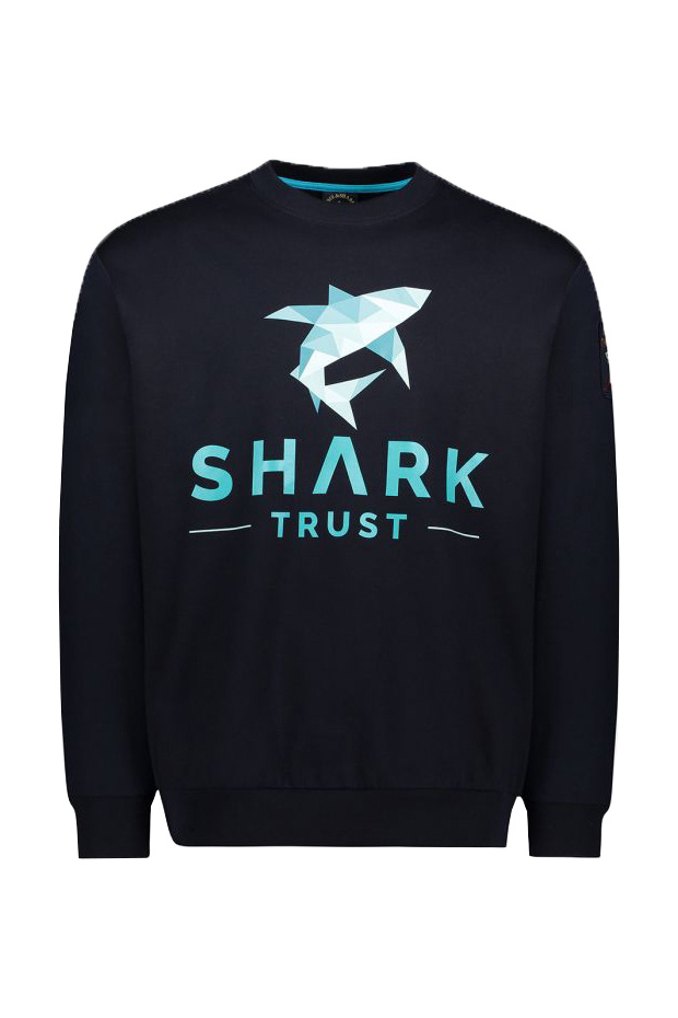 Paul & Shark Свитшот оверсайз в стиле 90-х (цвет ), артикул 21411830 | Фото 1