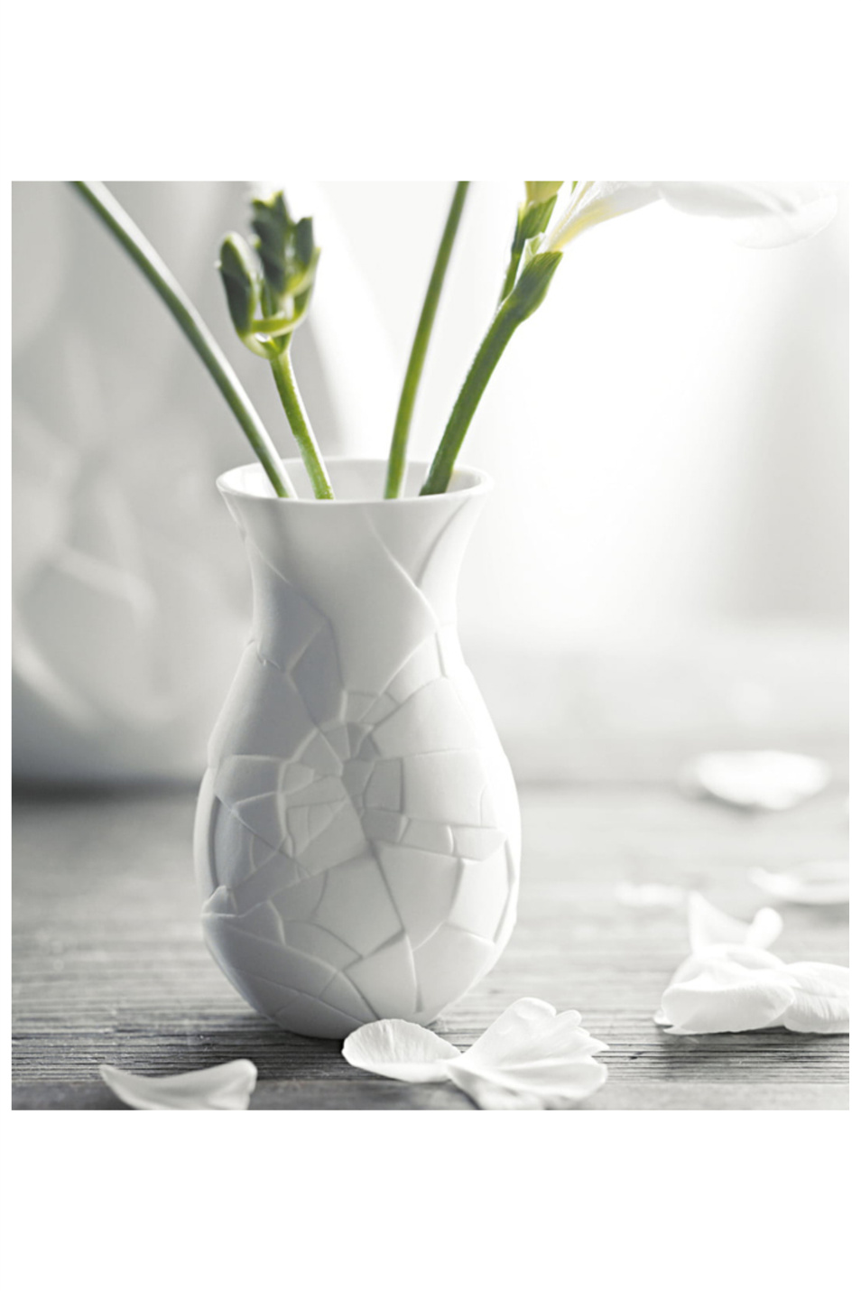 Не имеет пола Rosenthal Ваза "Vase of Phases" 30 см (цвет ), артикул 14255-100102-26030 | Фото 2