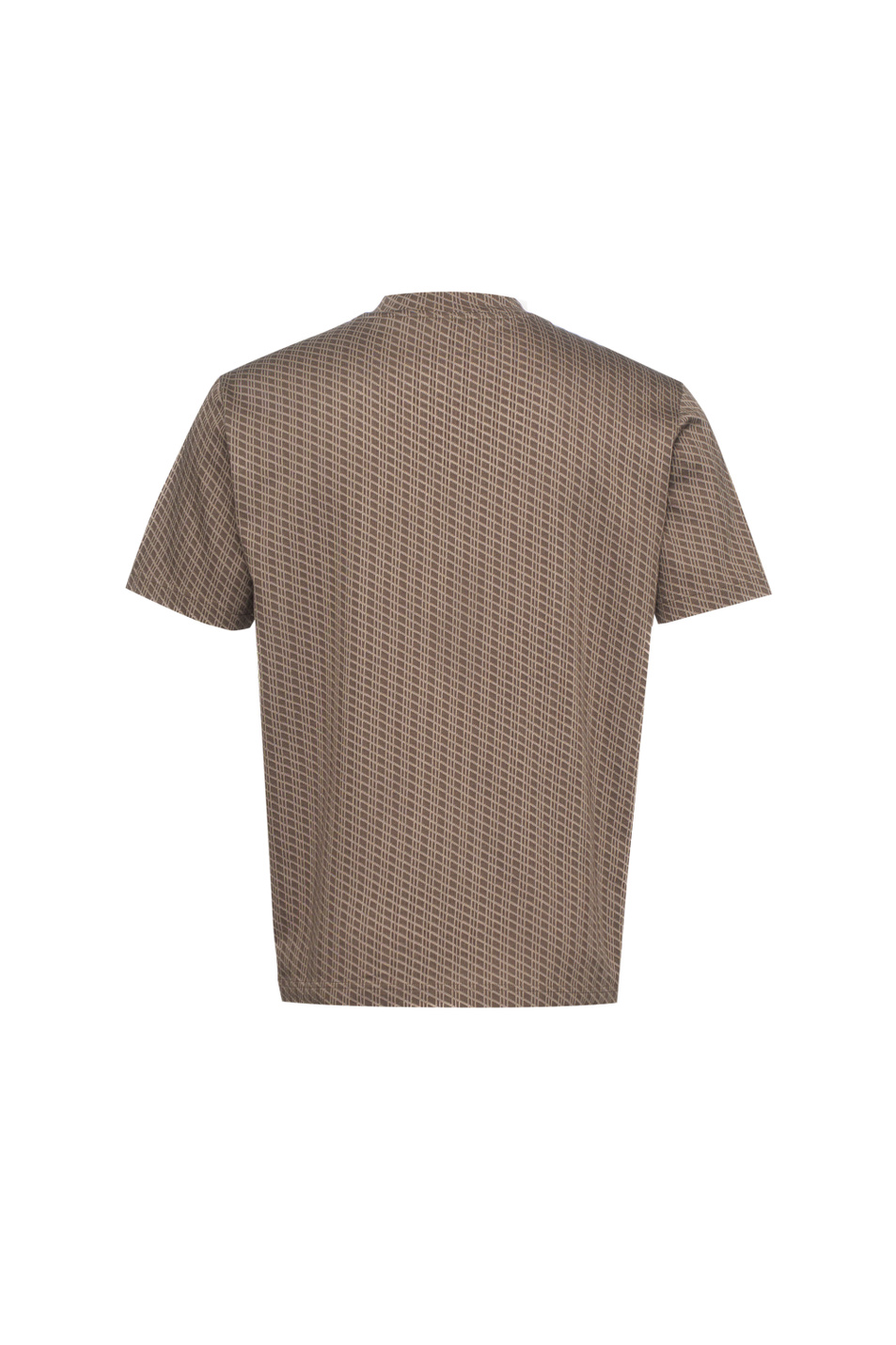 Мужской Emporio Armani Футболка из натурального хлопка с принтом (цвет ), артикул EM005546-AF25181 | Фото 2